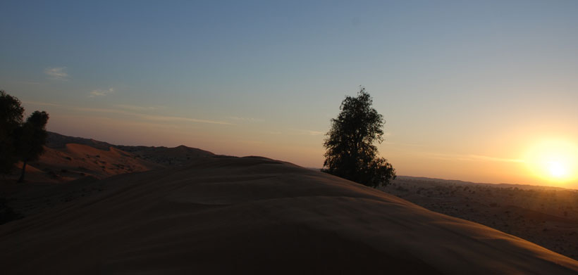 Alma_desert