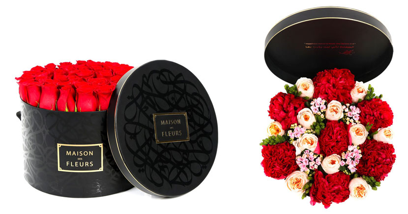 MDF-x-eL-Seed_749AED_1
