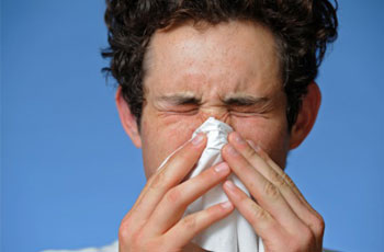Allergies---What-Causes-Them