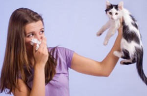 Allergies-to-Pets