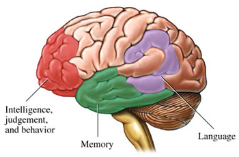 Alzheimer’s disease, The Horrific Stealer