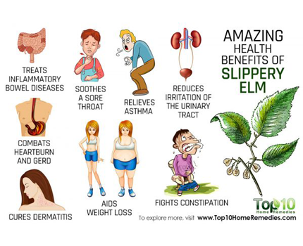 10 Amazing Health Benefits of Slippery Elm